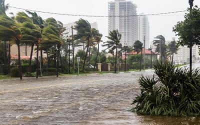 Evacuate or Shelter? How to Plan and Map for Severe Weather